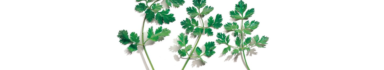 Les herbes aromatiques Picard : une véritable touche de saveur !